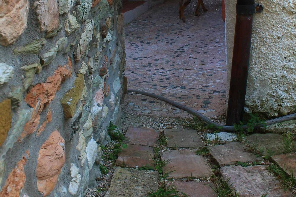 Photo of Outdoor in Avacelli