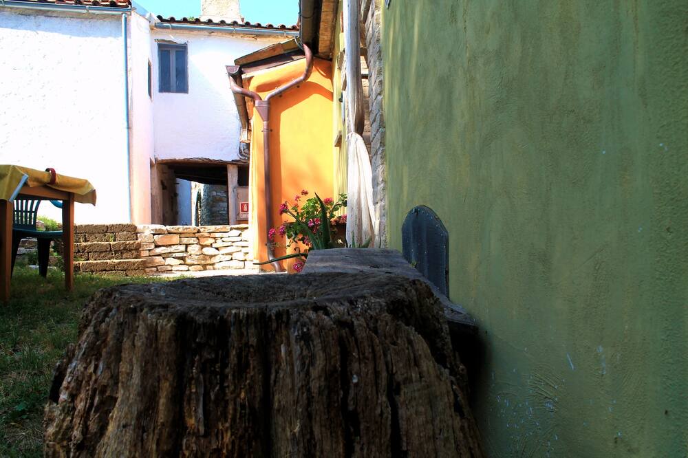 Photo of Outdoor in Avacelli