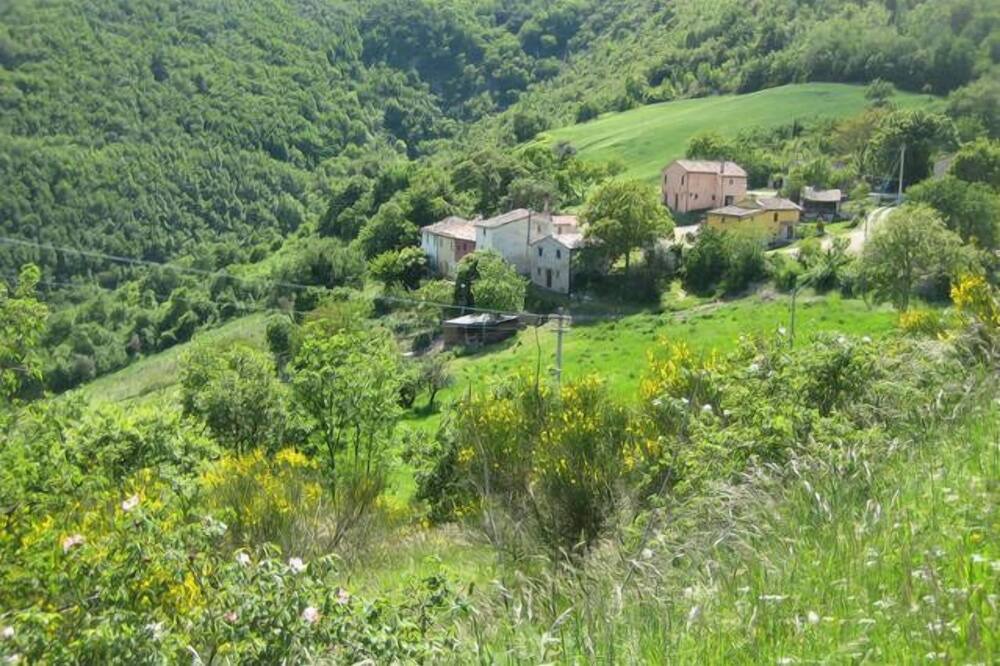 Photo of Outdoor in Avacelli