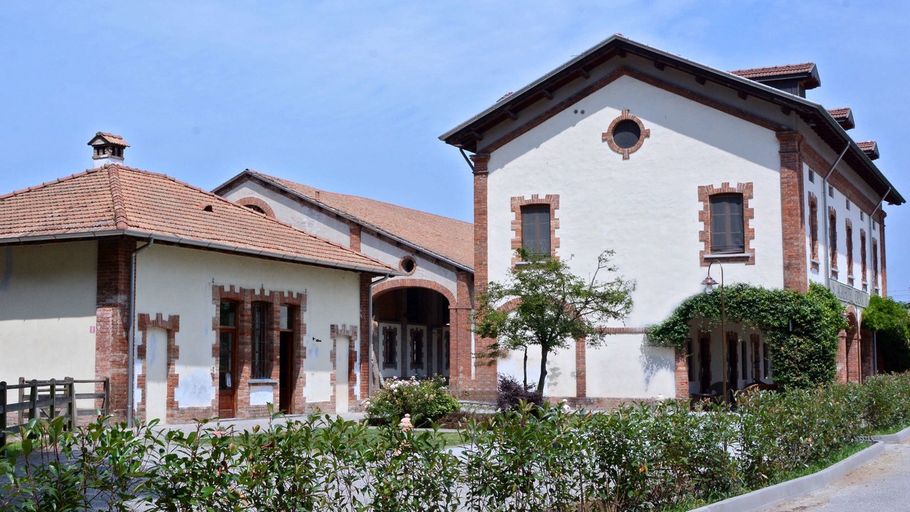 Photo of Outdoor in Crema