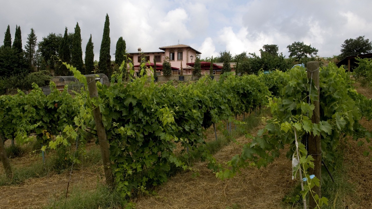Photo of Outdoor in Cerveteri