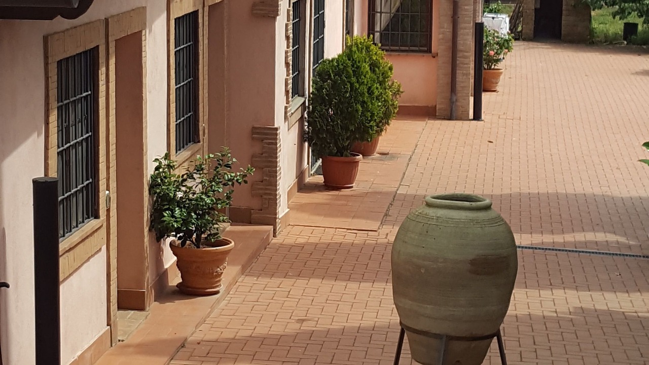 Photo of Outdoor in Cerveteri