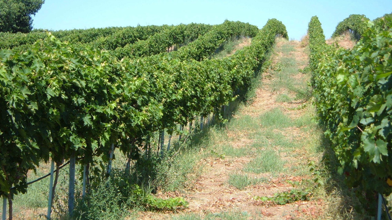 Photo of Outdoor in Cerveteri