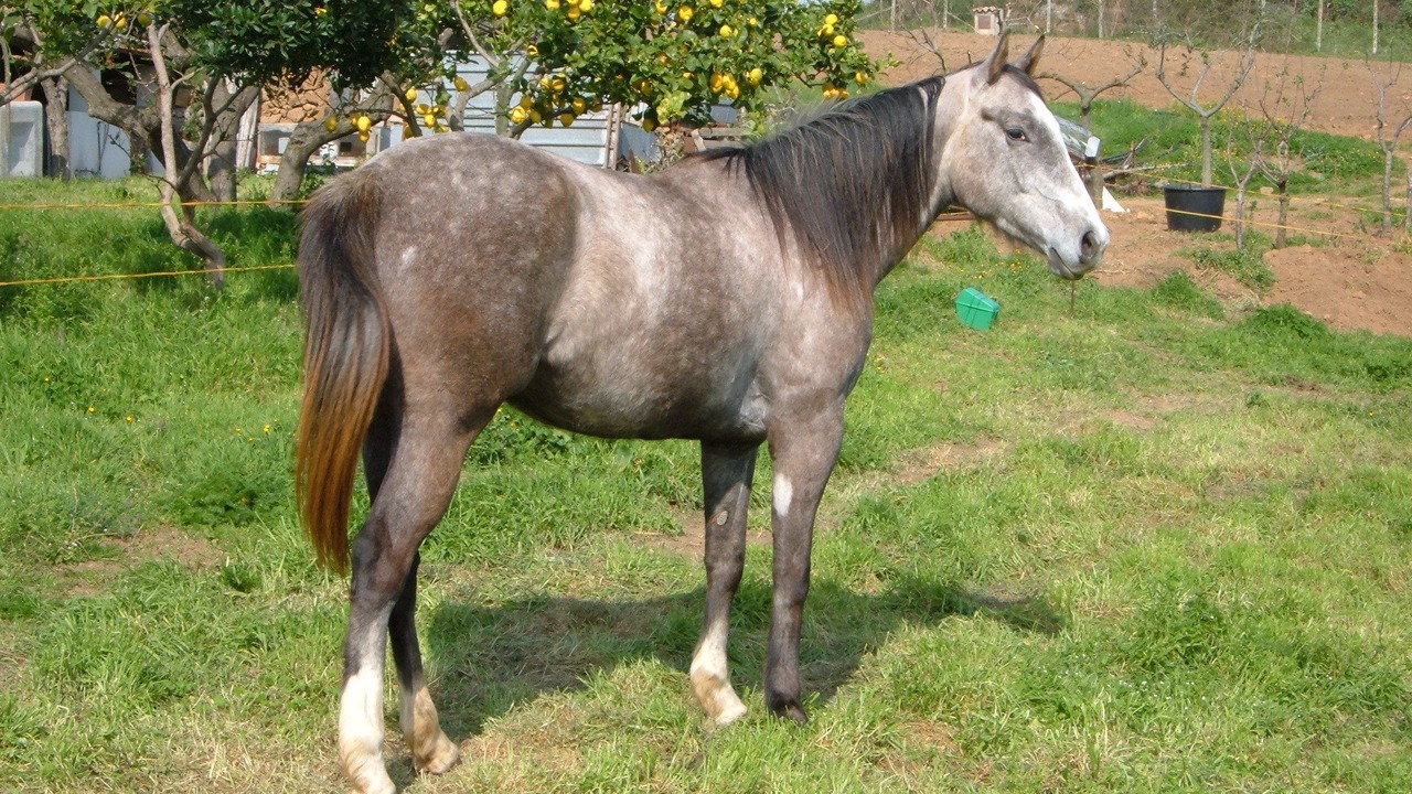 Photo of Outdoor in Cerveteri