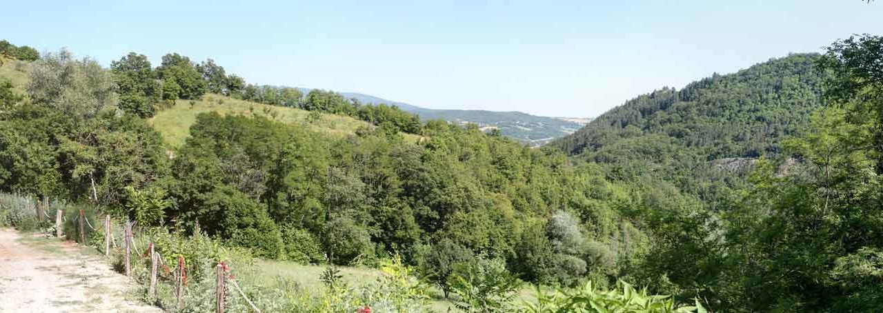Photo of Others in Pieve Santo Stefano