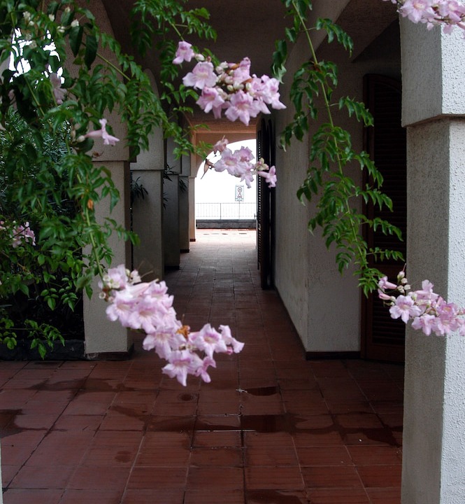 Photo of Patio Balcony in Torre Archirafi