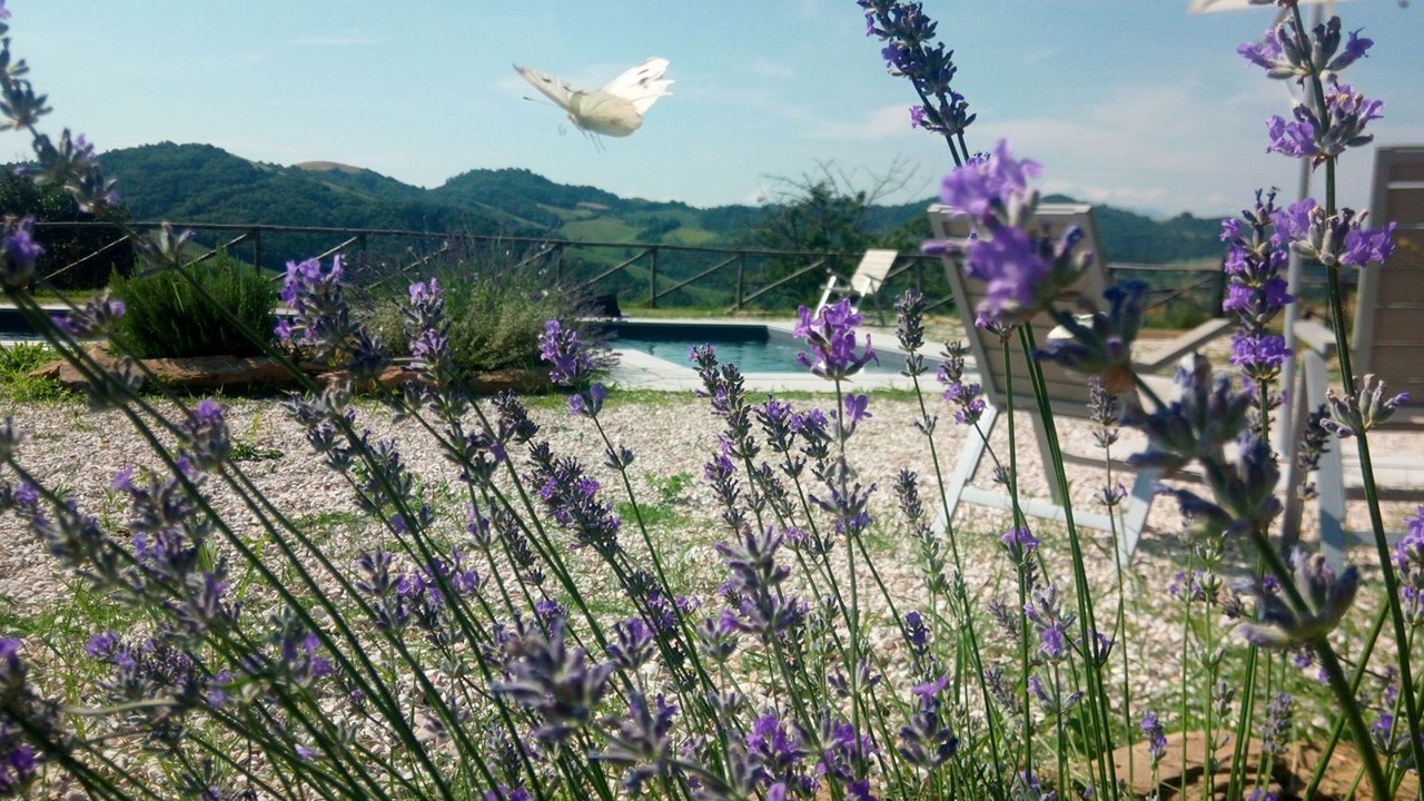 Photo of Outdoor in Sassocorvaro