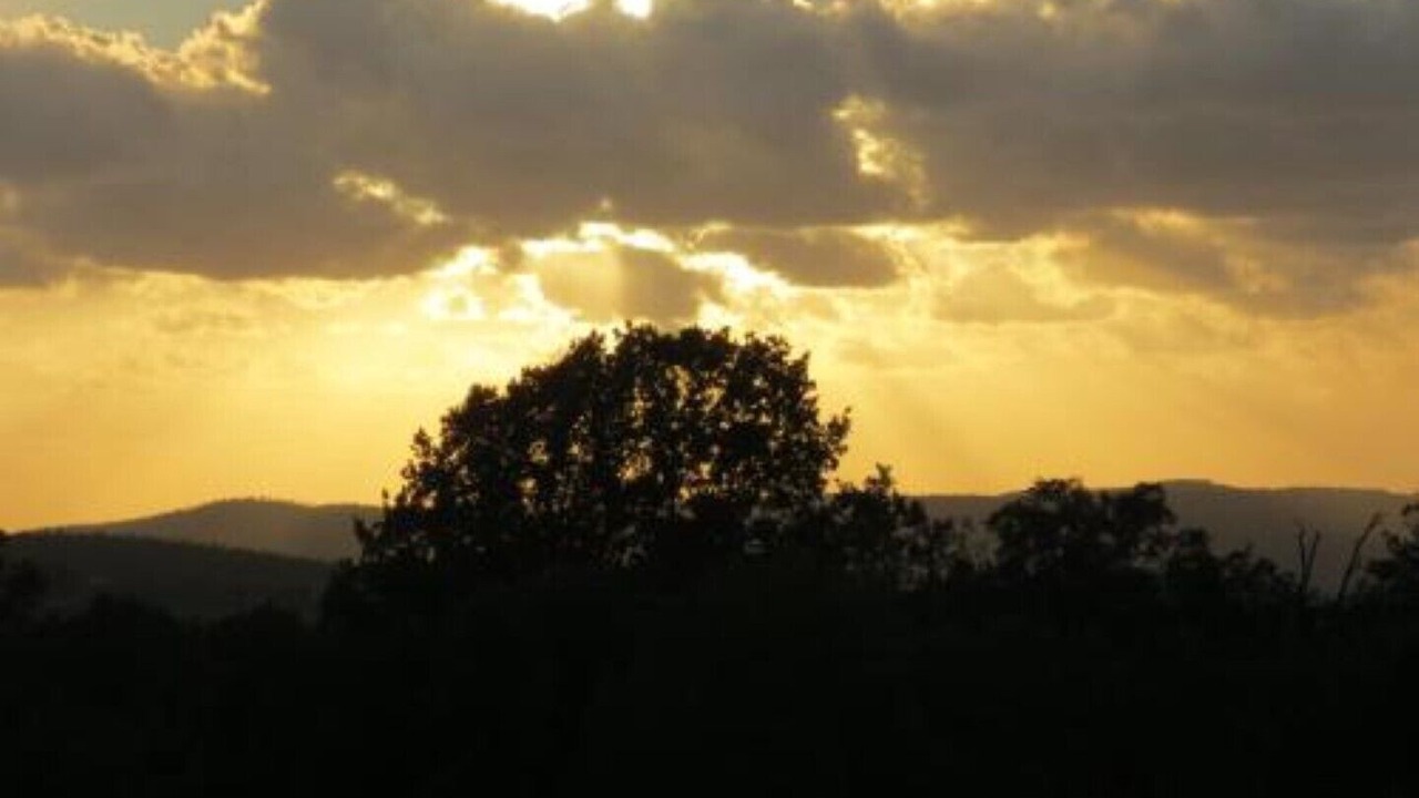 Photo of Outdoor in Vetralla