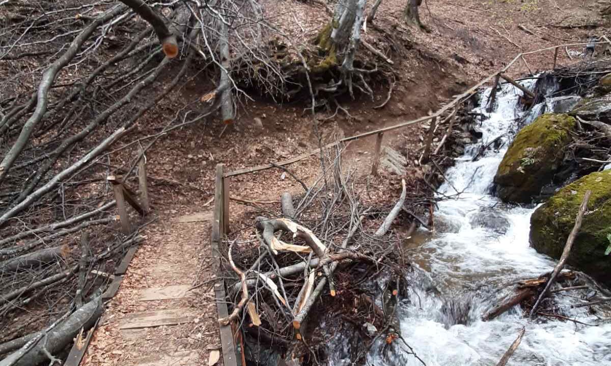 Photo of Outdoor in Kopaonik