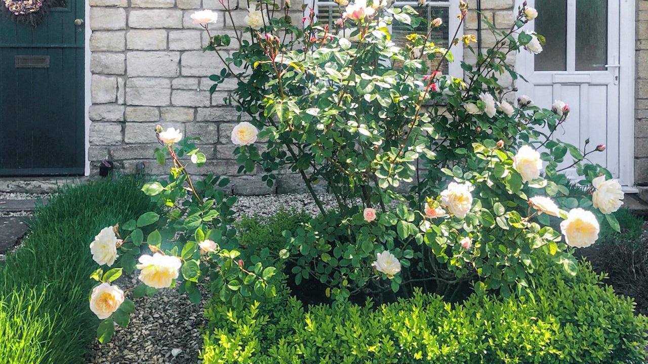 Photo of Outdoor in Dursley