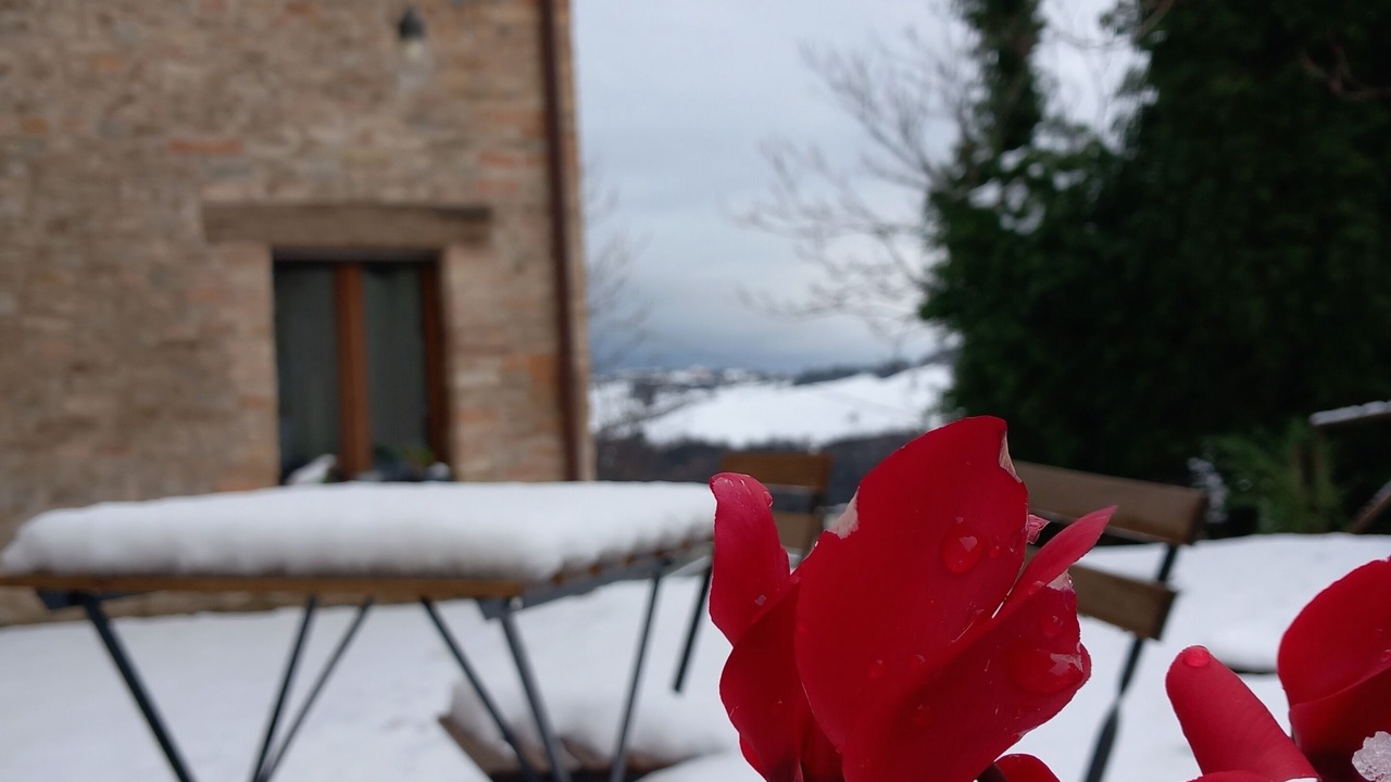 Photo of Outdoor in Montegiardino