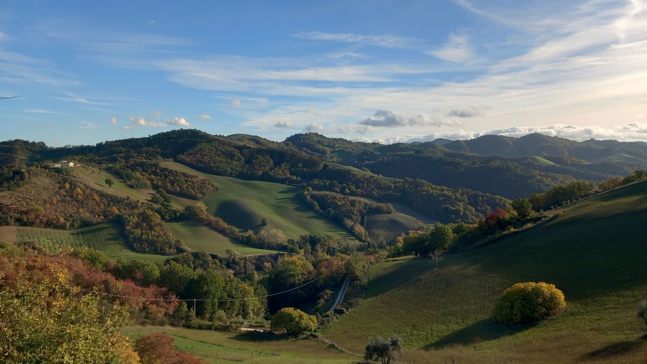 Photo of Others in Montegiardino