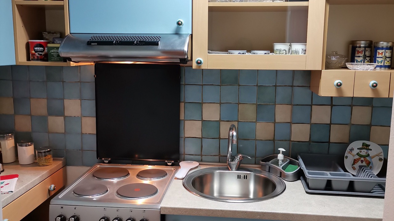 Photo of Kitchen in Vracar