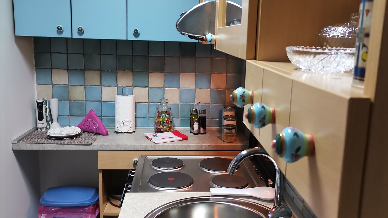 Photo of Kitchen in Vracar
