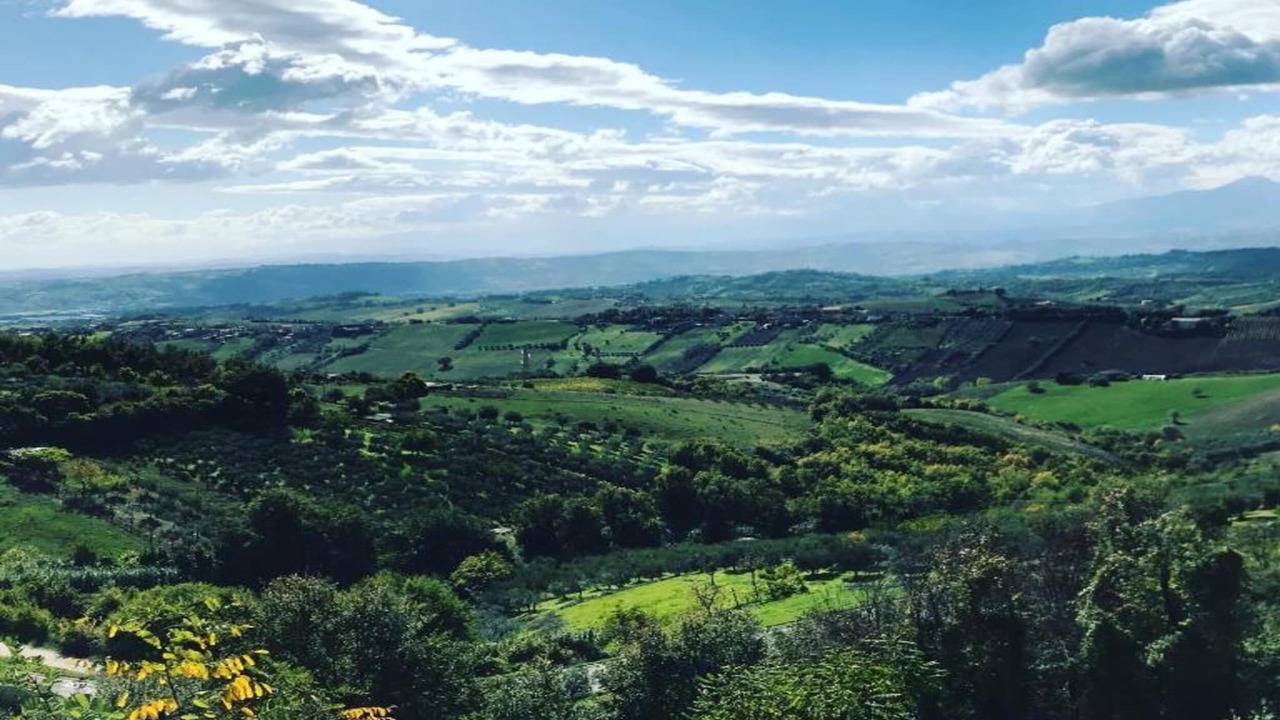 Photo of Others in San Savino