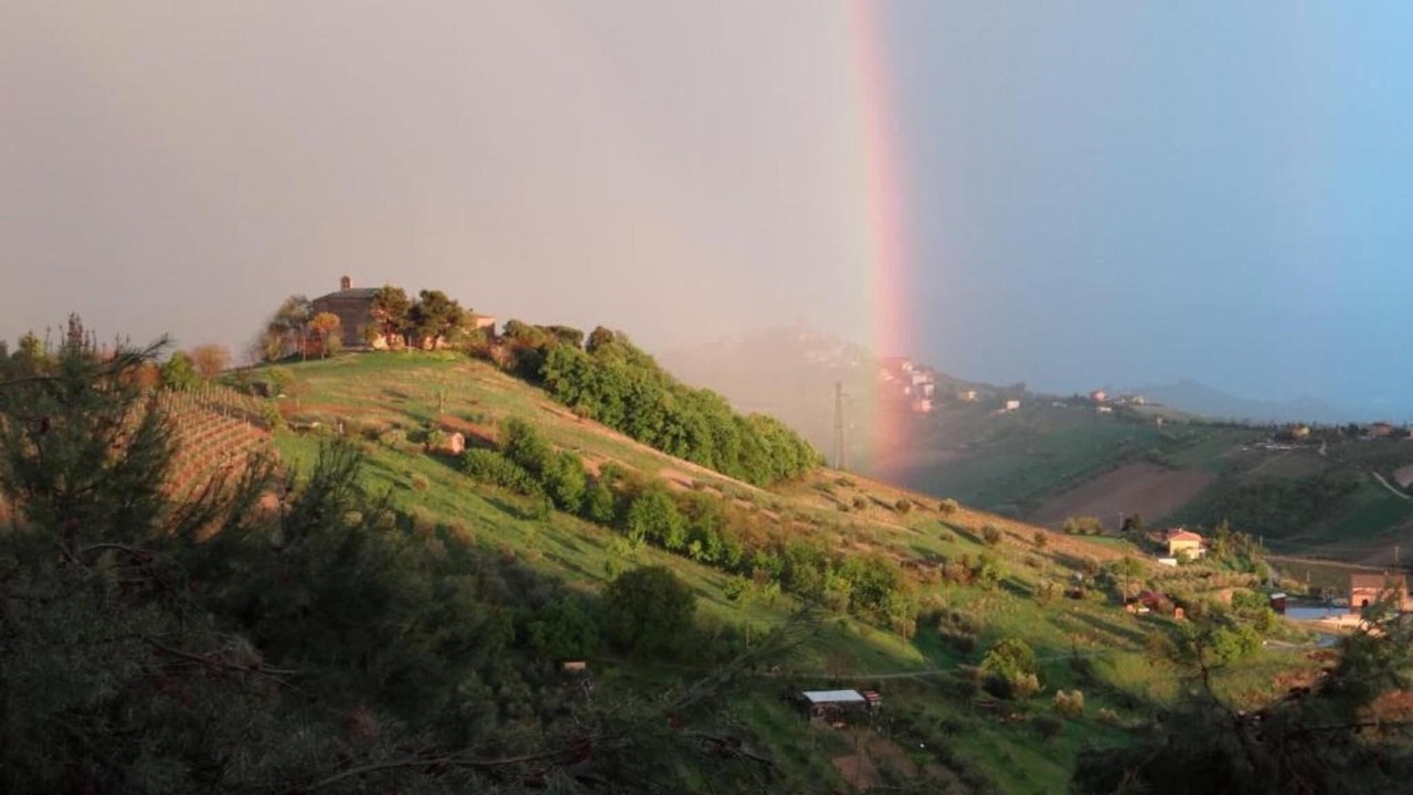 Photo of Others in San Savino
