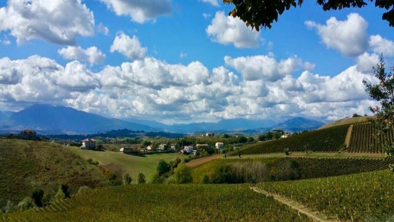 Photo of Others in San Savino