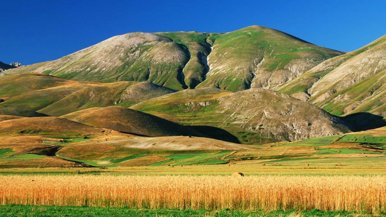 Photo of Others in Monte San Martino