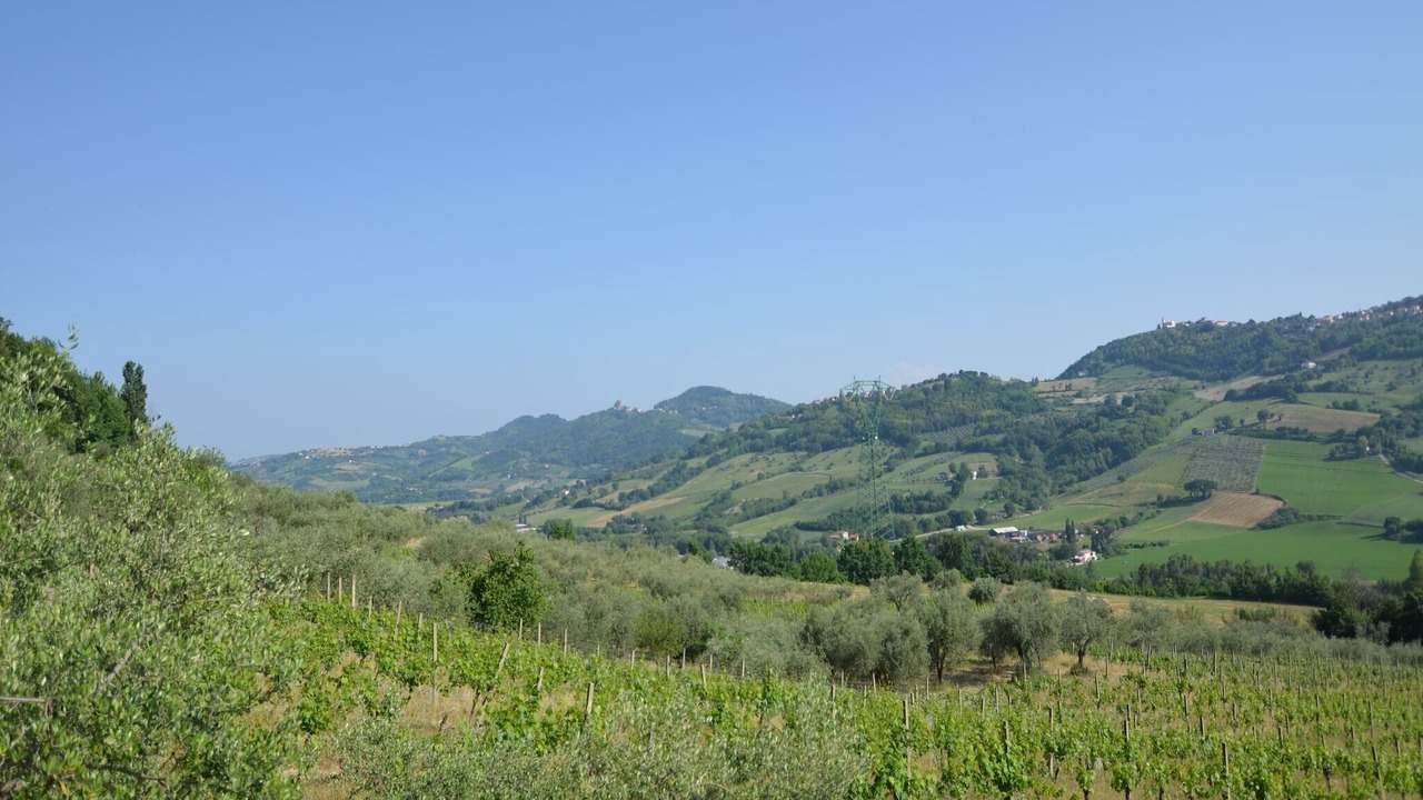 Photo of Others in Croce