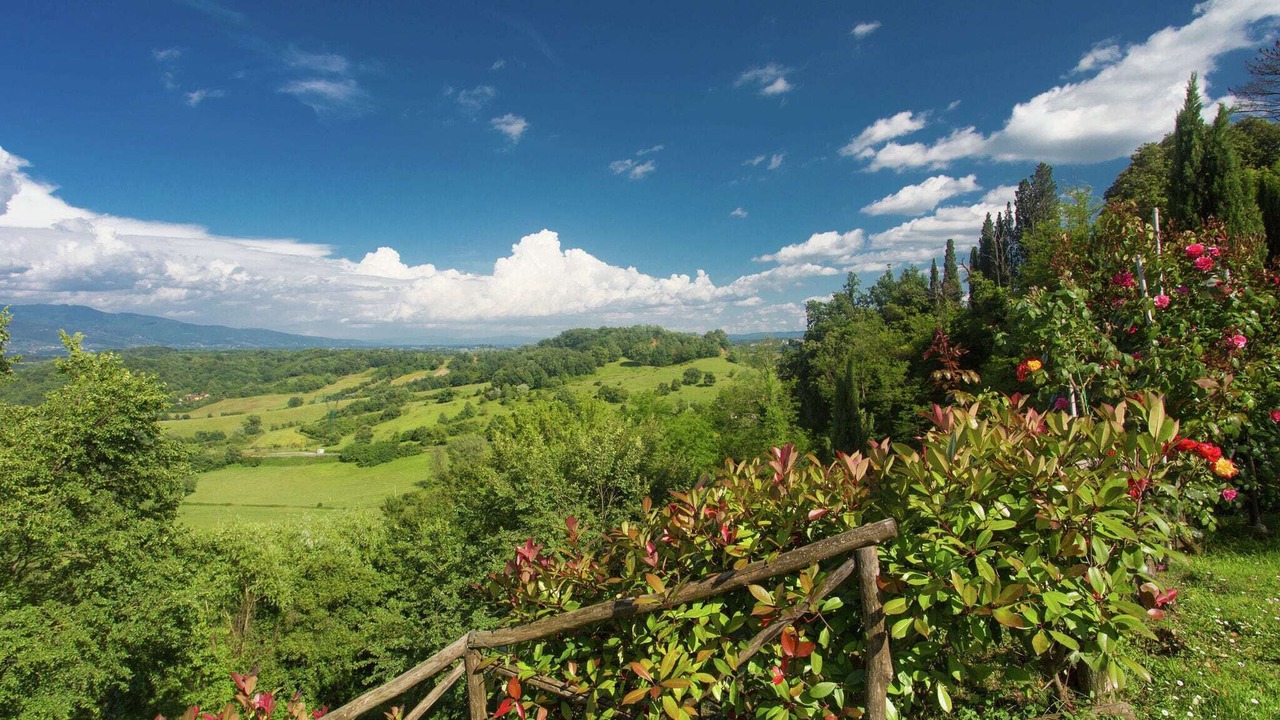 Photo of Outdoor in Gaville