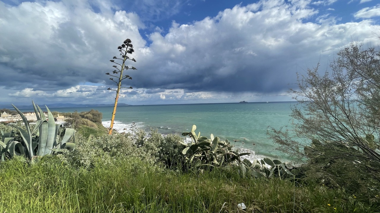 Photo of Others in Piombino