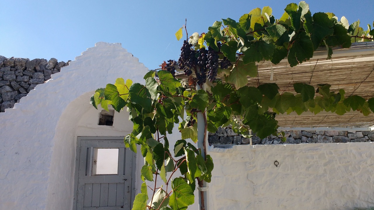 Photo of Outdoor in Fasano