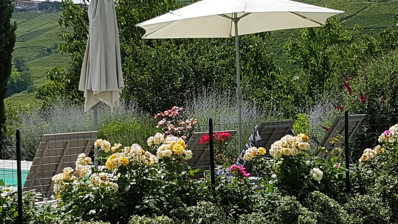 Photo of Outdoor in Castiglione Tinella