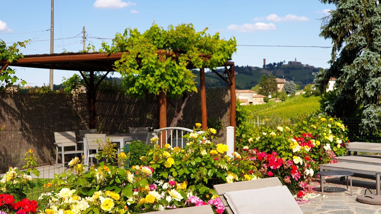 Photo of Outdoor in Castiglione Tinella