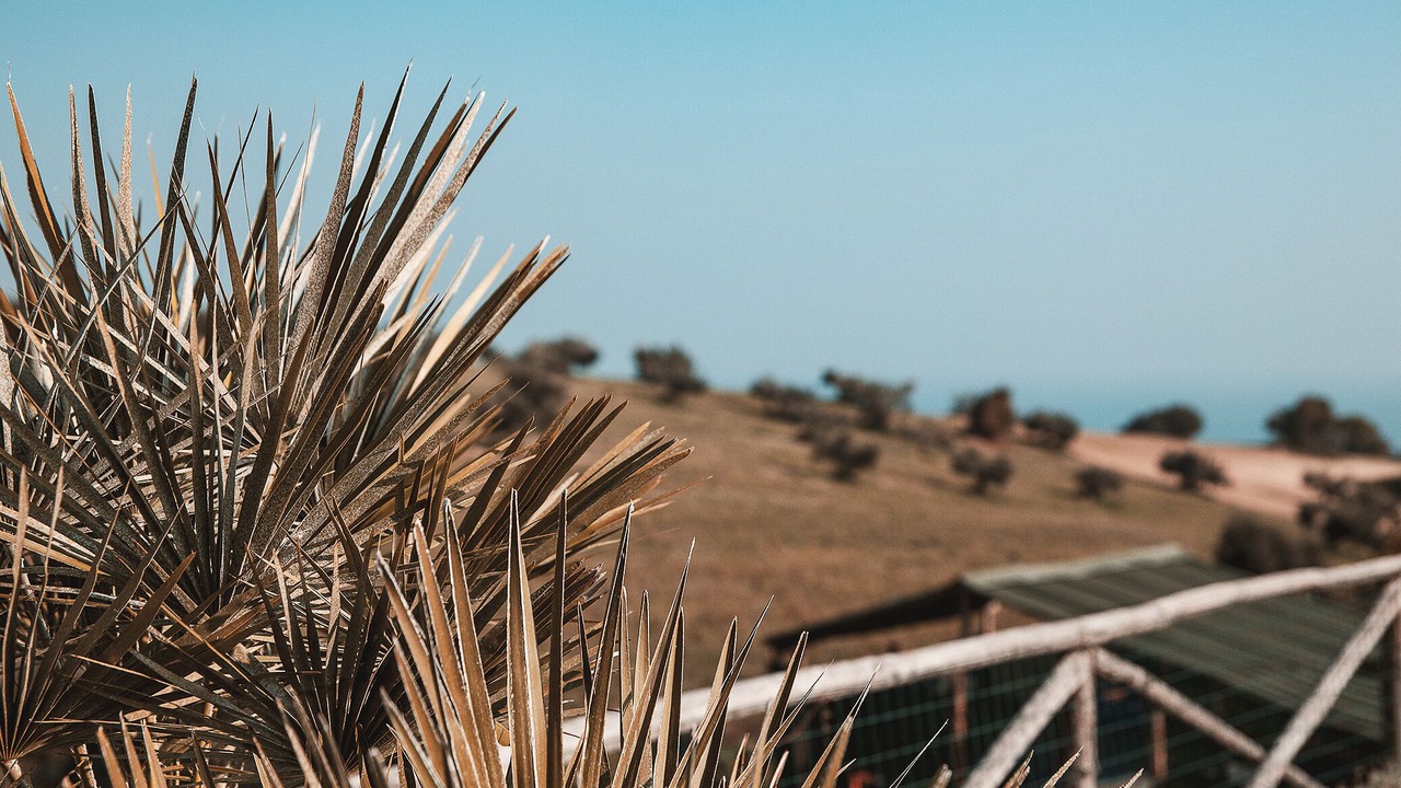 Photo of Outdoor in Fermo