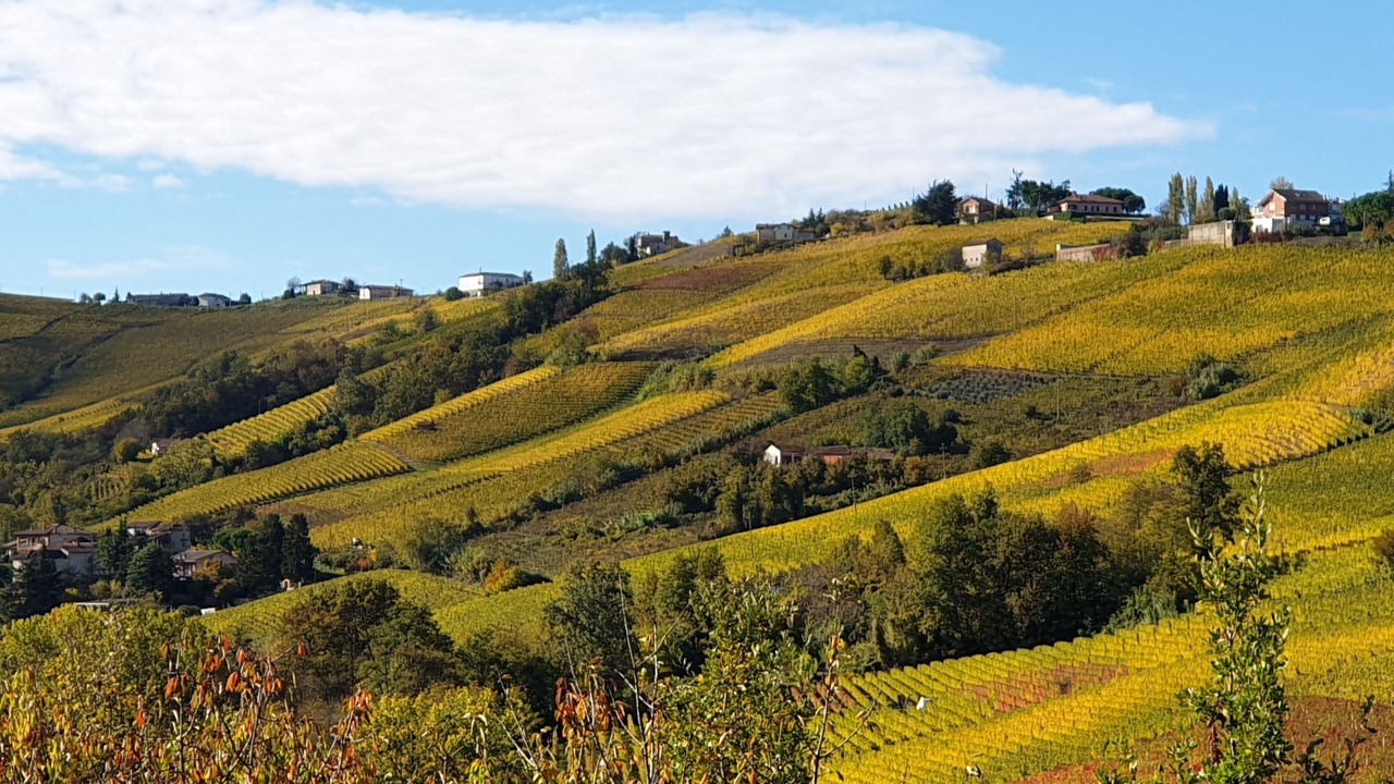 Photo of Others in Castiglione Tinella