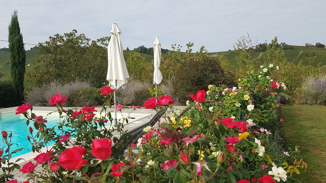 Photo of Outdoor in Castiglione Tinella