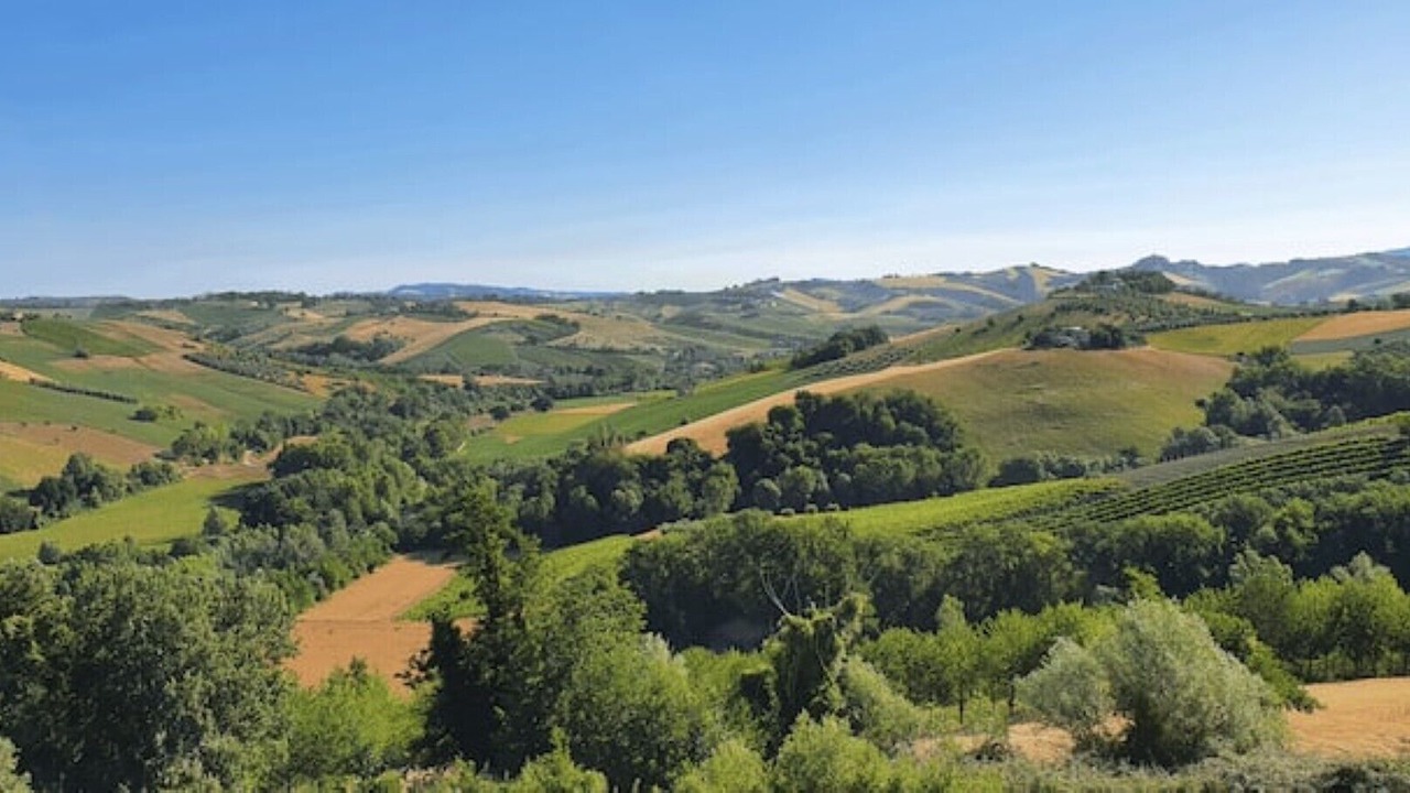 Photo of Outdoor in Castignano