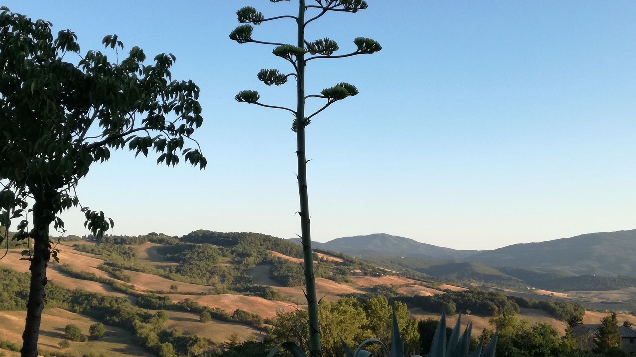 Photo of Outdoor in Radicondoli