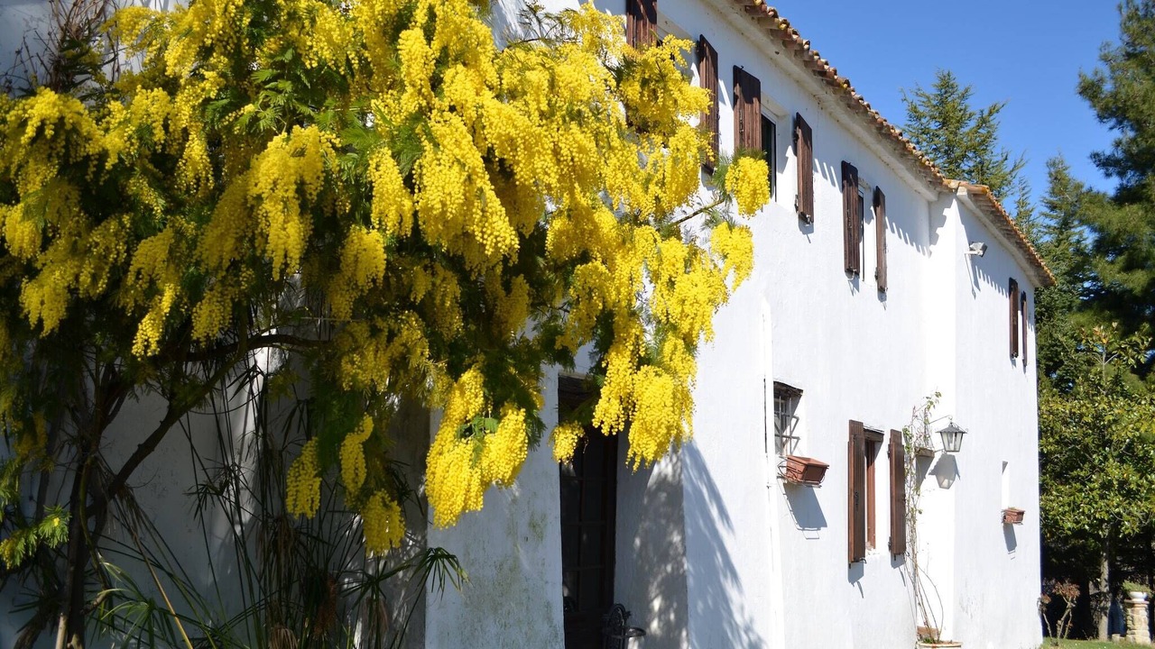 Photo of Outdoor in Montefiore Conca