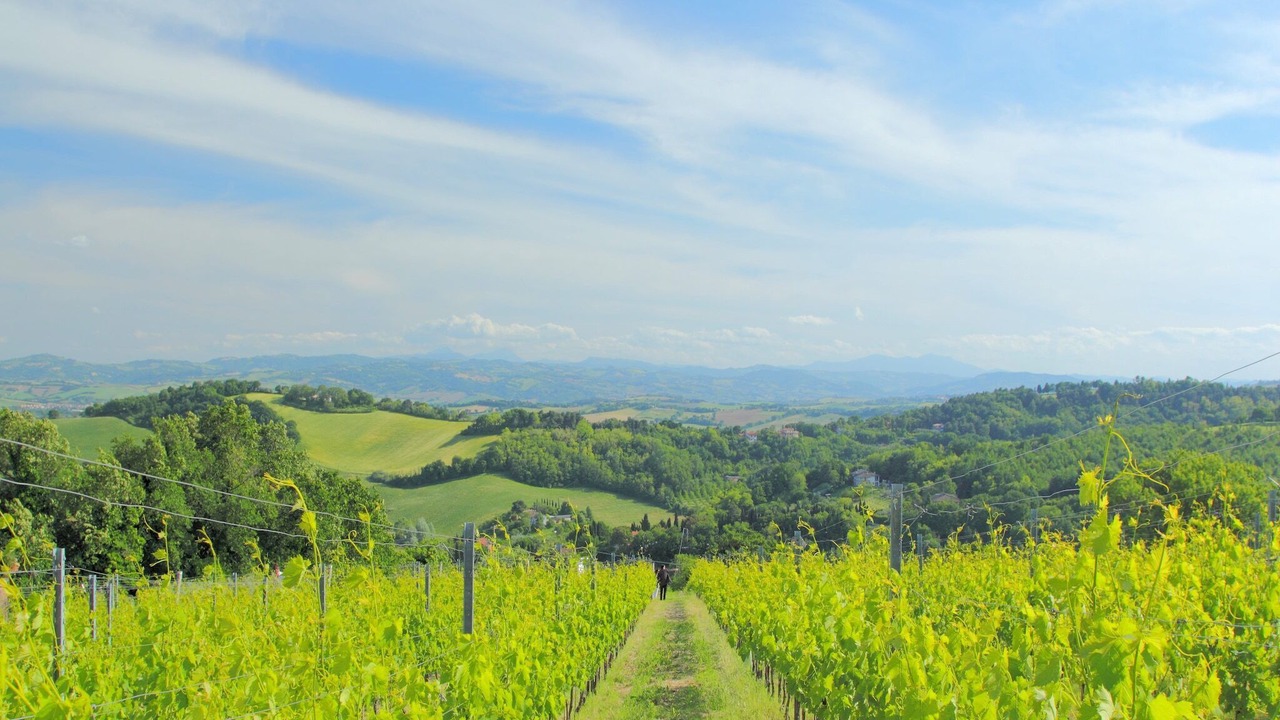 Photo of Others in Acqualagna