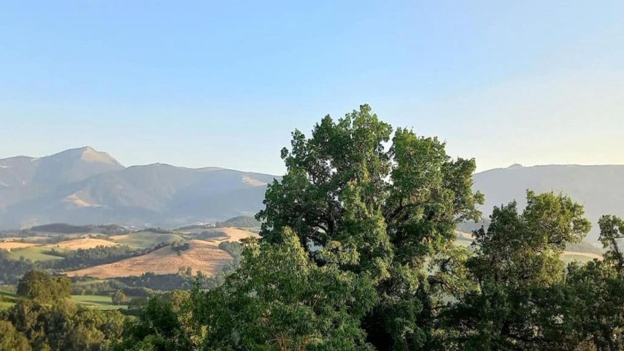 Photo of Others in Cagli