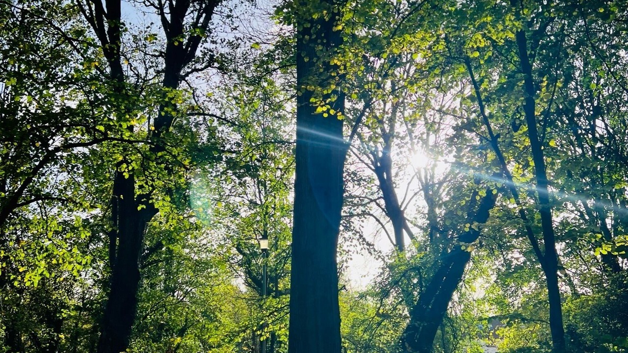 Photo of Outdoor in Keynsham