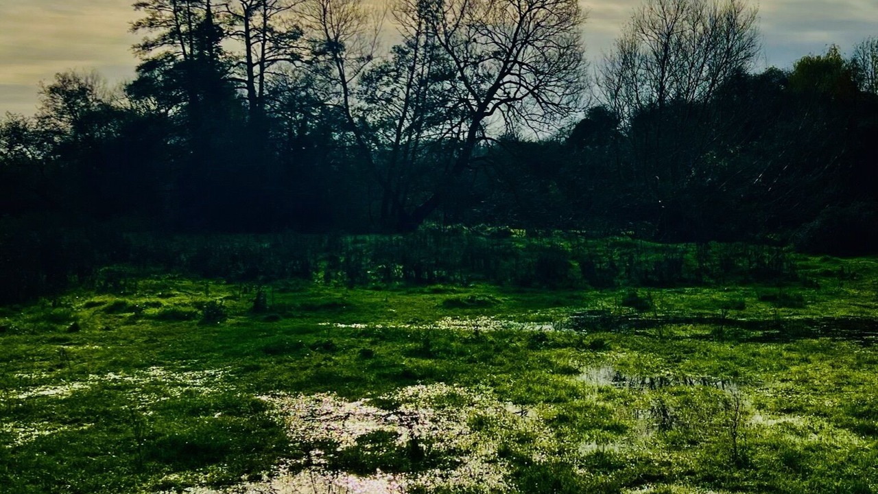 Photo of Outdoor in Keynsham