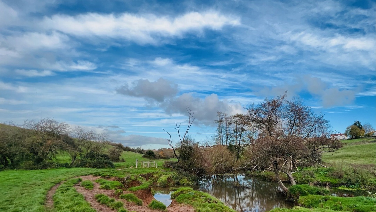 Photo of Outdoor in Keynsham