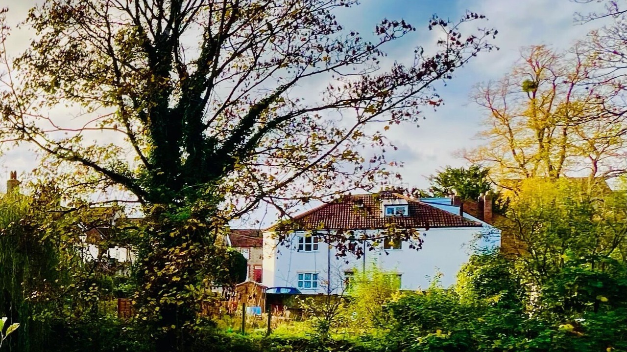 Photo of Outdoor in Keynsham