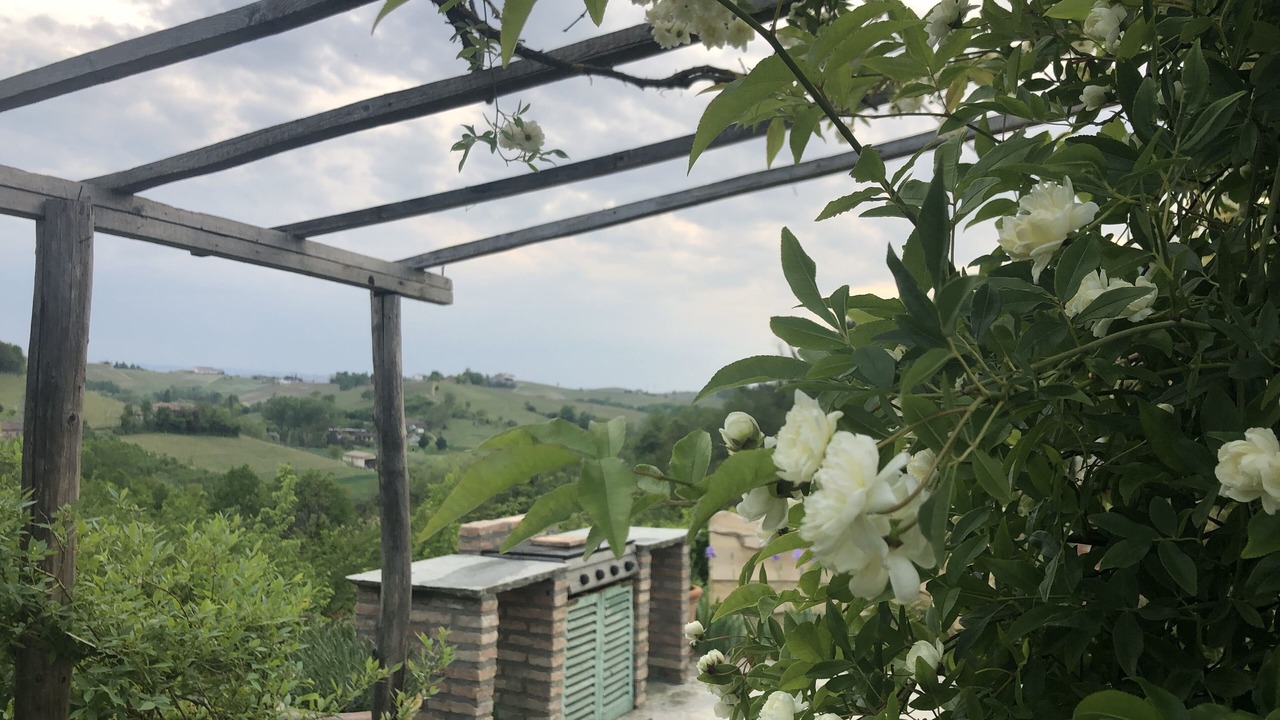 Photo of Outdoor in Nizza Monferrato