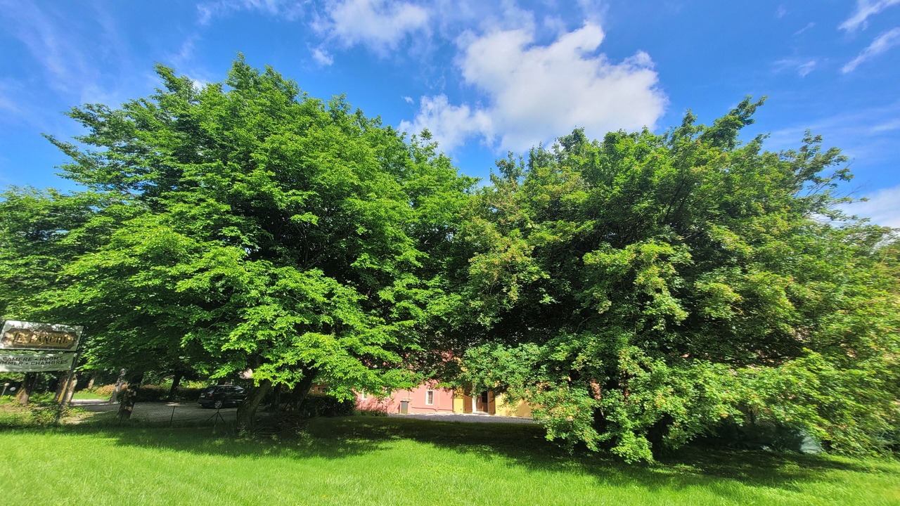 Photo of Outdoor in Saturnana