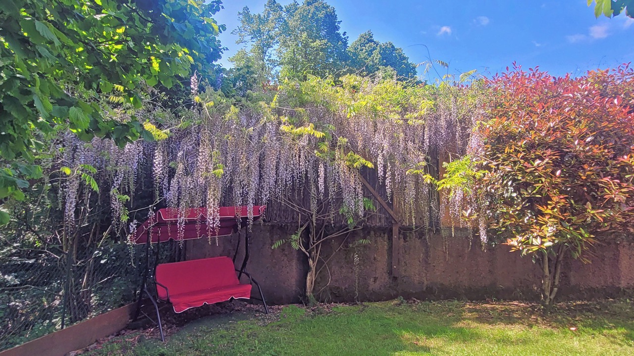 Photo of Outdoor in Saturnana