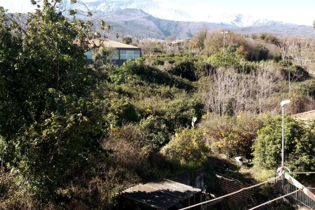 Photo of Outdoor in Linera