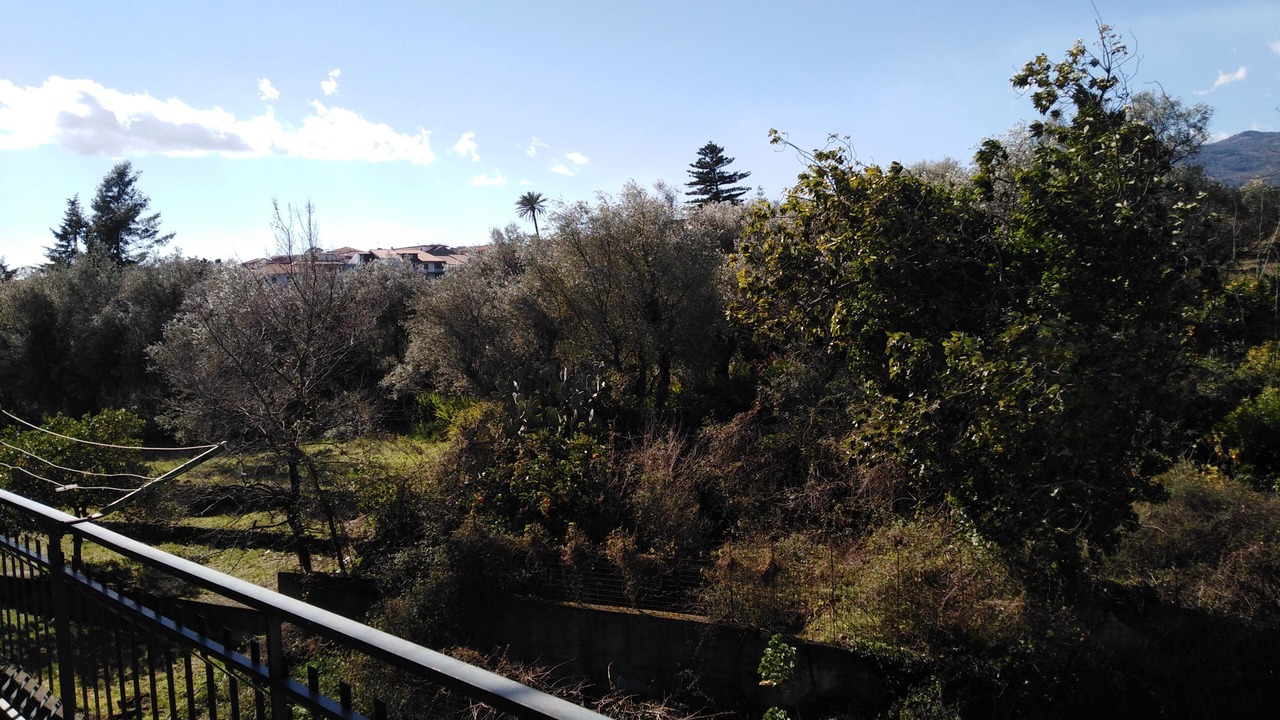 Photo of Outdoor in Linera