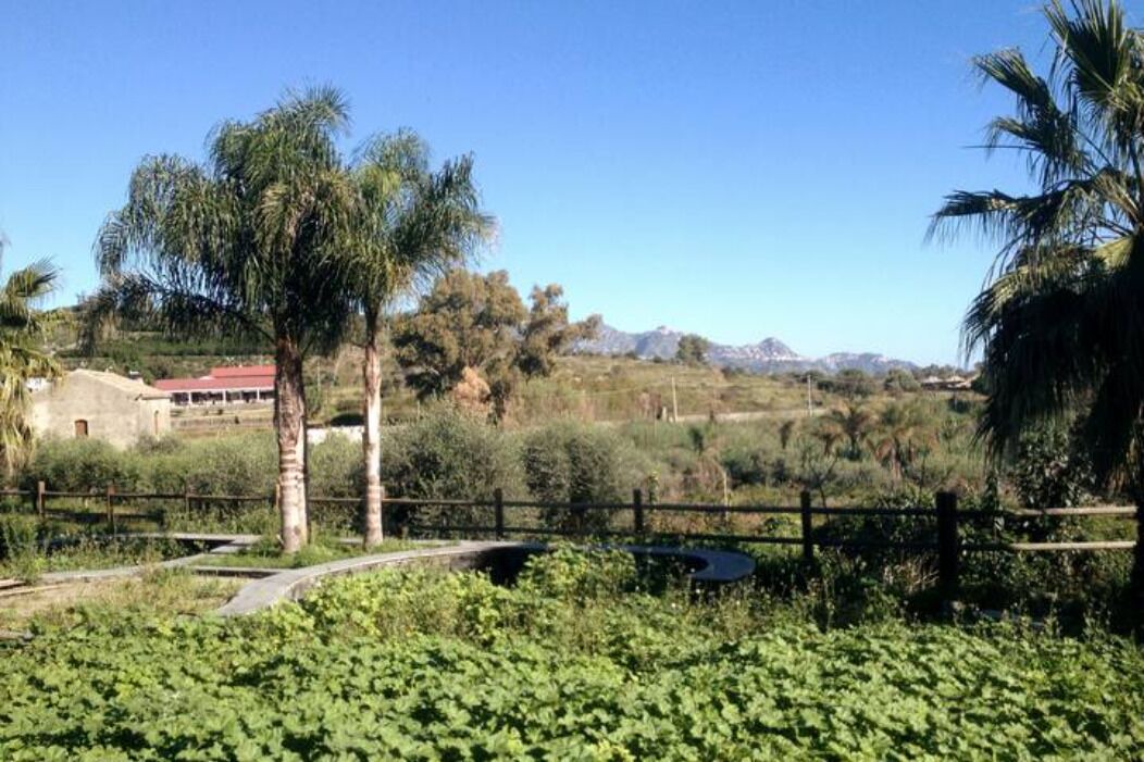 Photo of Outdoor in Linera