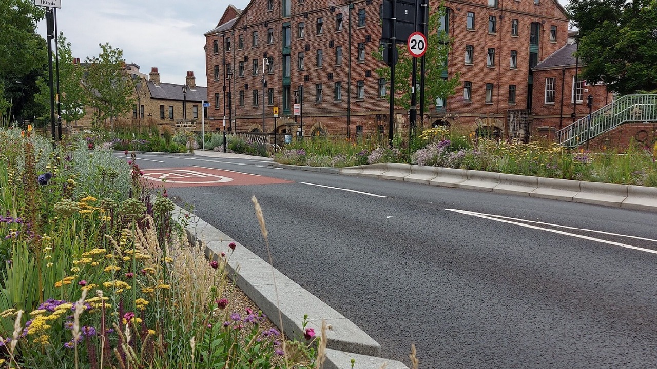 Photo of Others in Sheffield