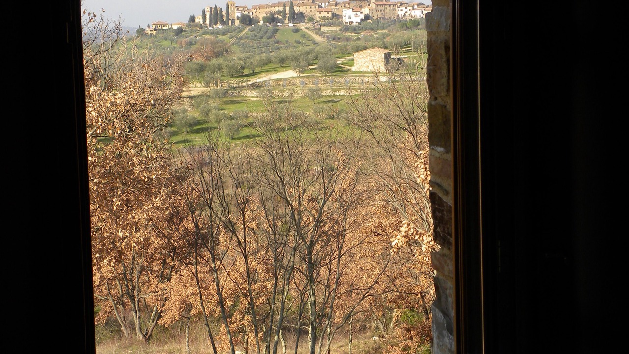 Photo of Others in San Pietro in Bossolo