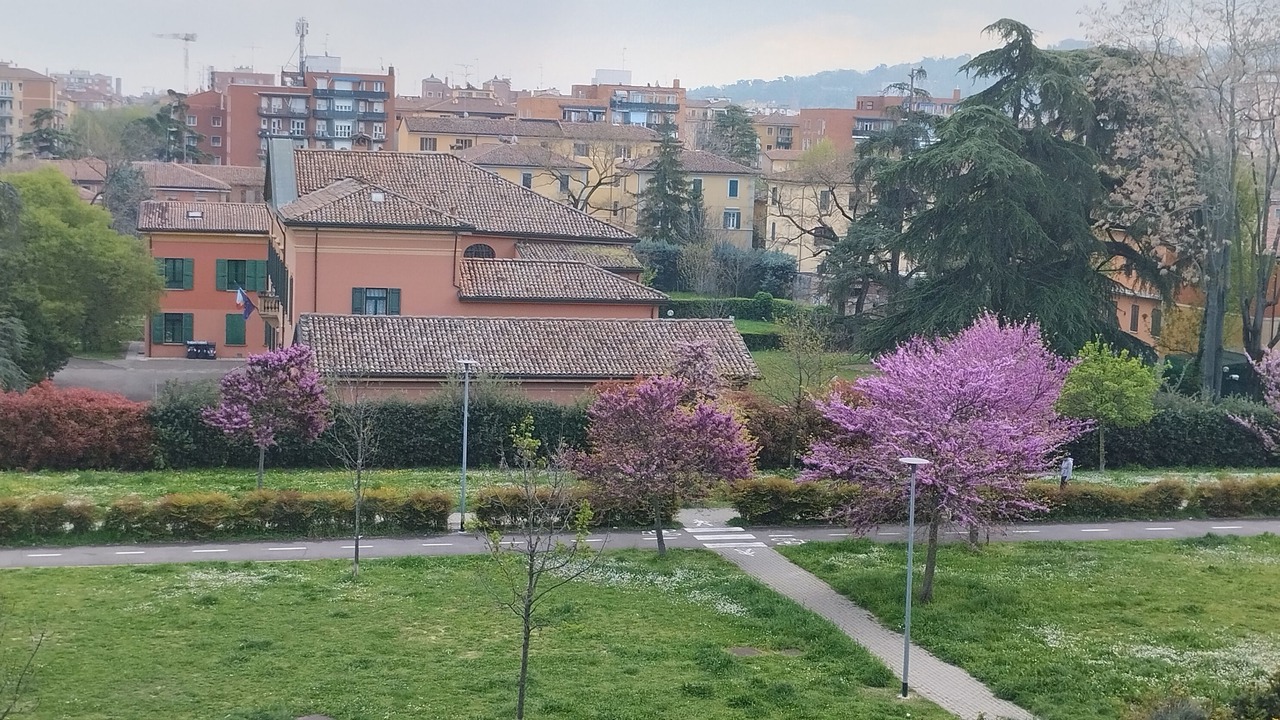 Photo of Outdoor in Province of Bologna