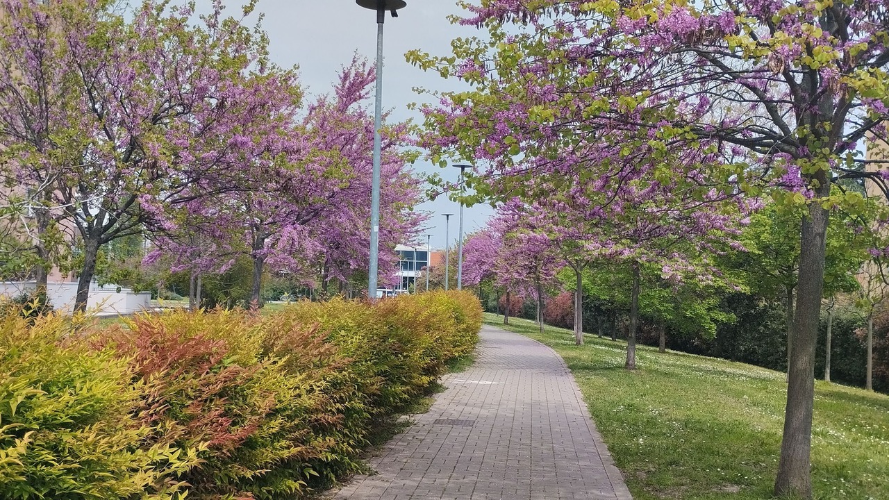 Photo of Outdoor in Province of Bologna